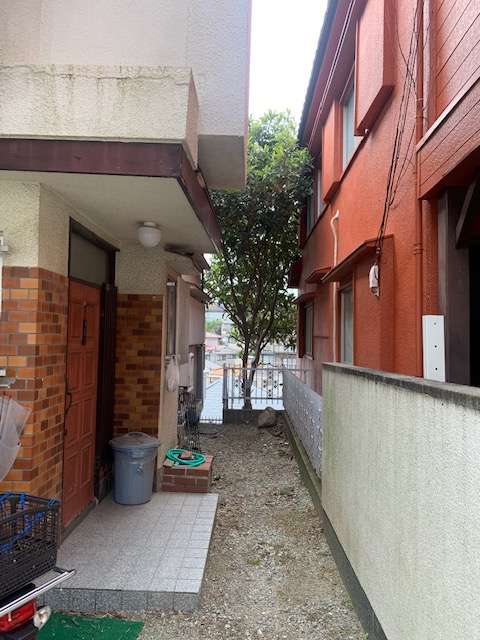 神戸市北区　琵琶の木の伐採